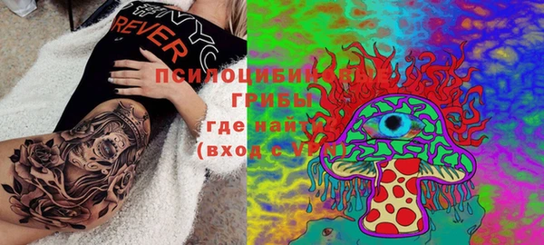 PSILOCYBIN Верхний Тагил