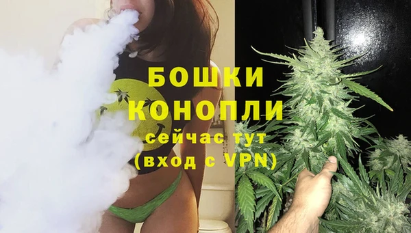 PSILOCYBIN Верхний Тагил