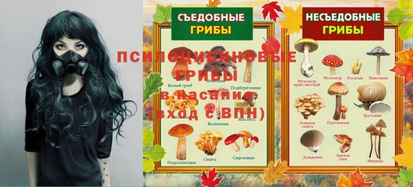 ГАЛЛЮЦИНОГЕННЫЕ ГРИБЫ Верхнеуральск