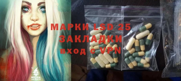 PSILOCYBIN Верхний Тагил